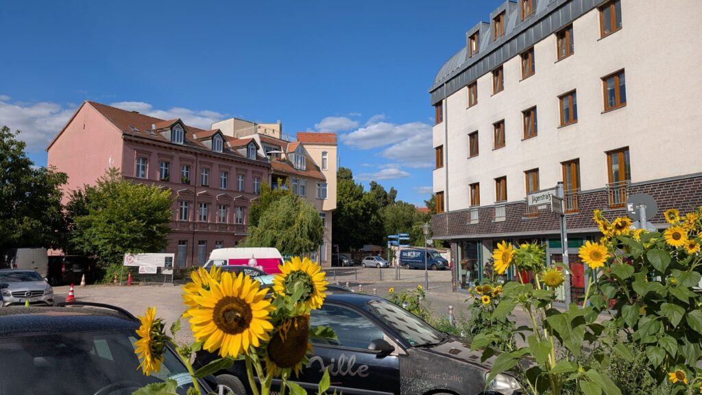 Sonnenblumen und Häuser an der Jägerstraße in der Altstadt Köpenick