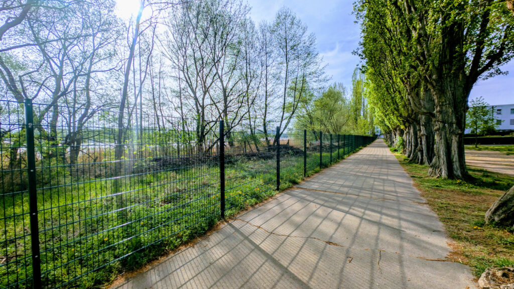 Radfahrer am Spreeufer der K?penicker Chaussee in Treptow-K?penick