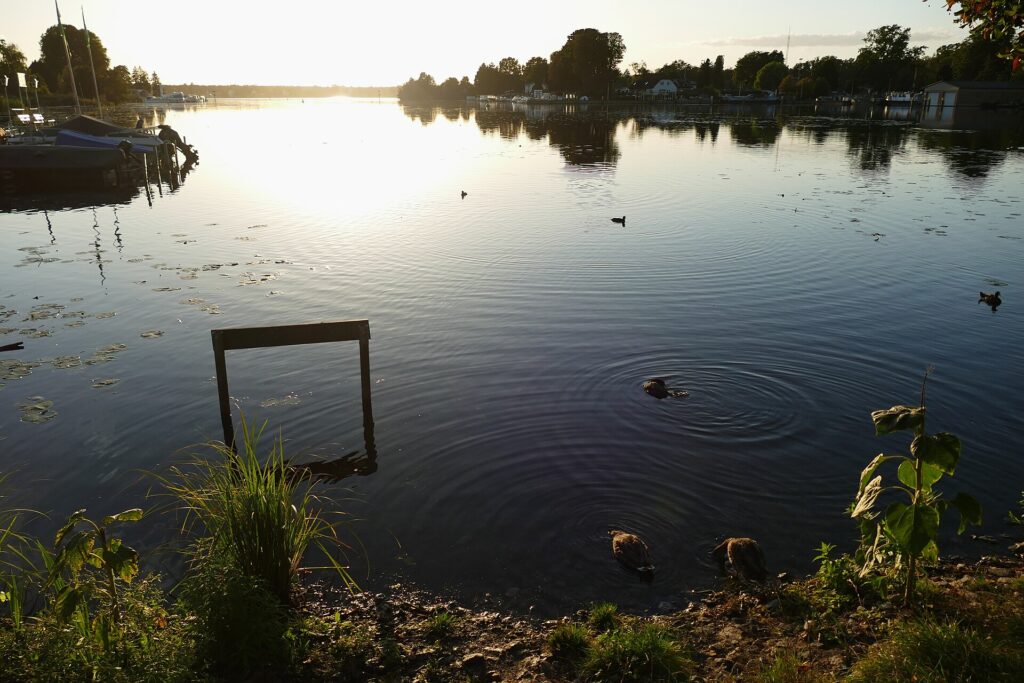 Dämeritzsee in Treptow-Köpenick