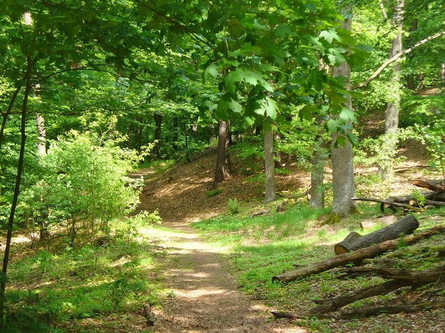 Kleiner Müggelberg in Treptow-Köpenick