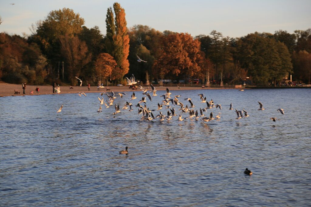 Strandbad Müggelsee in Treptow-Köpenick
