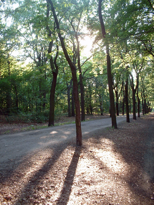 Volkspark Wuhlheide in Treptow-Köpenick