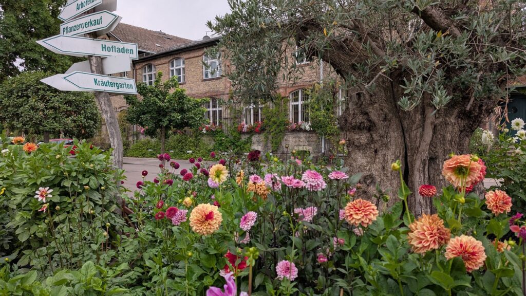 Blumen und Wege in den Späthschen Baumschulen