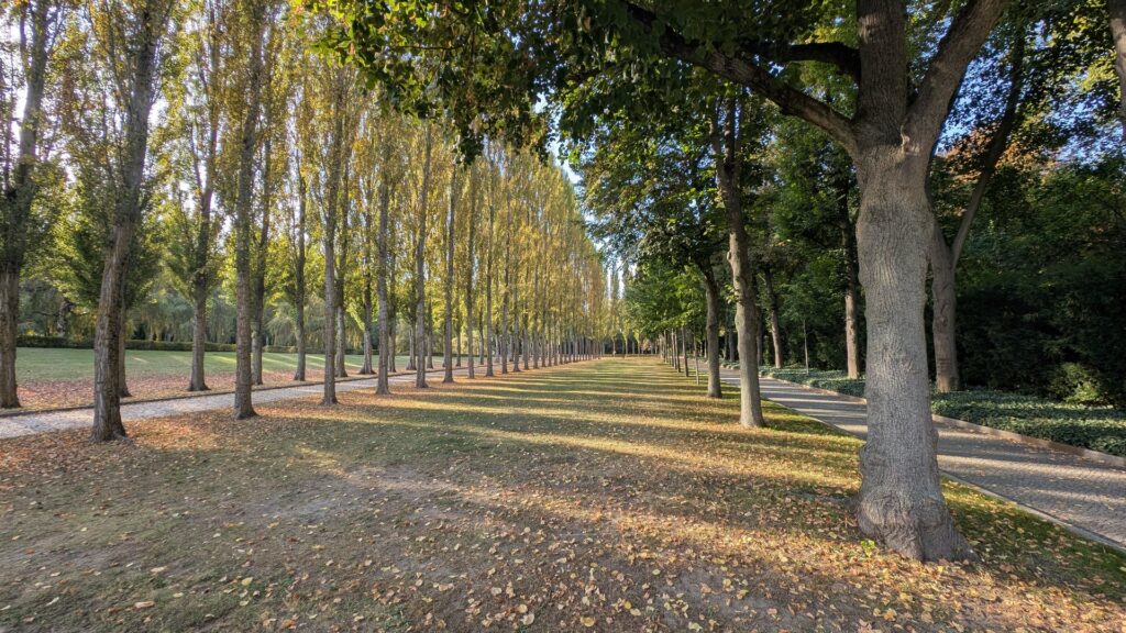Herbstliche Pappelallee als Zugang zum Sowjetischen Ehrenmal im Treptower Park