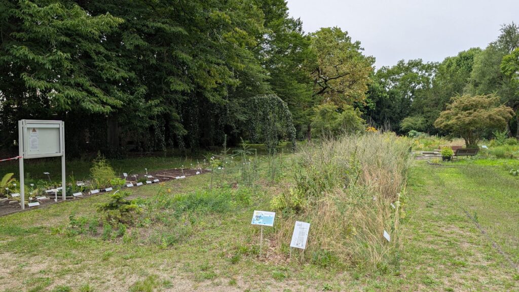Pflanzflächen und Schilder im Späth-Arboretum