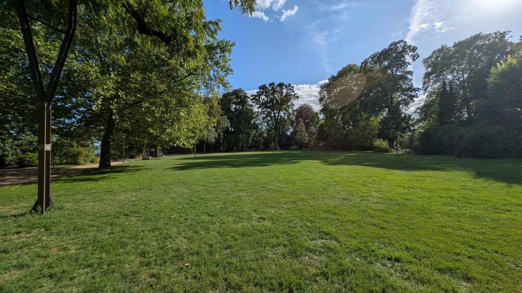 Rasenfläche und alter Baumbestand im Schlosspark Köpenick