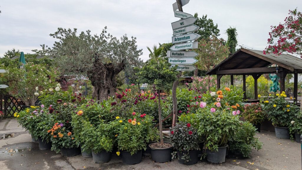 Sommerblumen und Wegweiser in den Späthschen Baumschulen