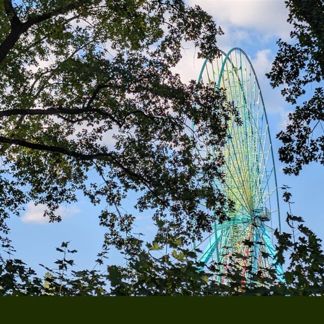 Riesenrad im Spreepark Plänterwald hinter Bäumen