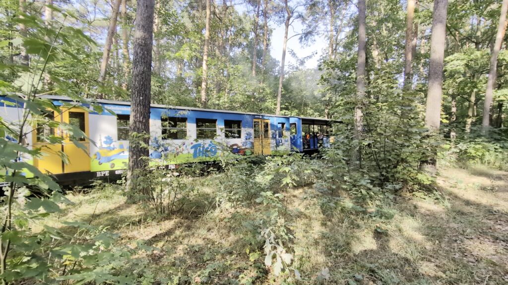 Parkeisenbahn Wuhlheide fährt durch den Wald im Volkspark Wuhlheide