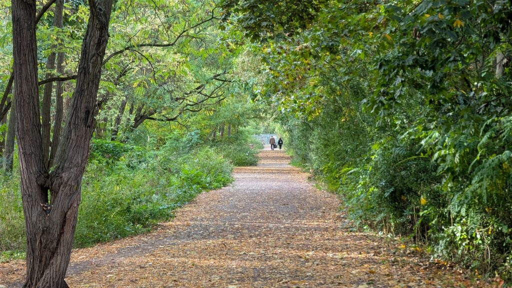 Grüner Weg auf der ehemaligen Görlitzer Bahntrasse an der Elsenstraße