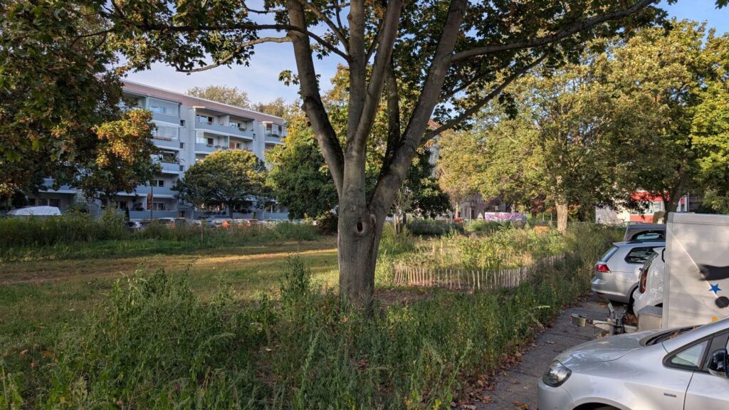 Grünfläche mit altem Baumbestand und Wohnhäusern am Schmollerplatz in Alt-Treptow