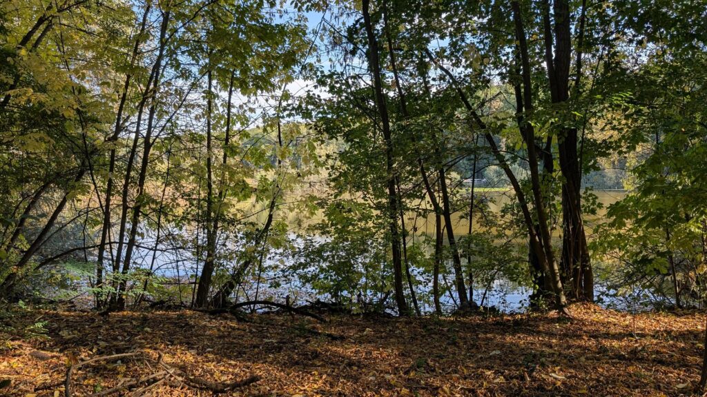 Teufelssee zwischen herbstlichen Bäumen in den Müggelbergen