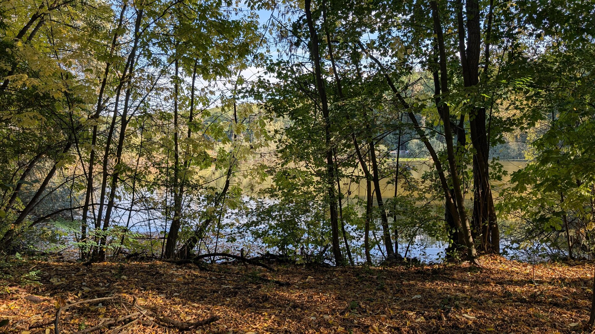 Teufelssee zwischen herbstlichen Bäumen in den Müggelbergen