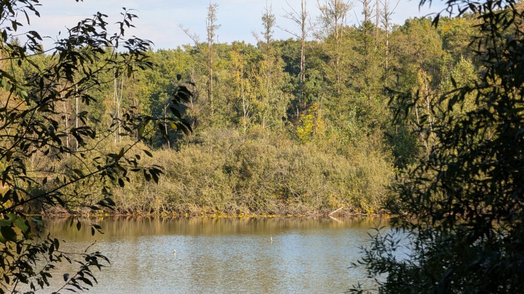 Teufelssee und bewaldetes Teufelsseemoor im Herbstlicht