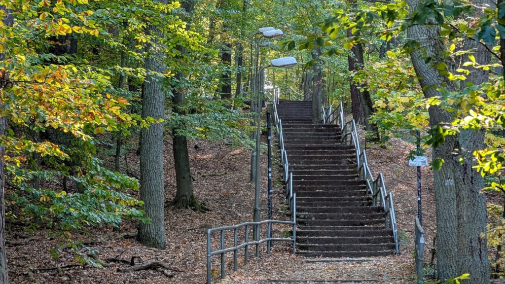 Lange Treppenanlage durch den herbstlichen Wald der Müggelberge