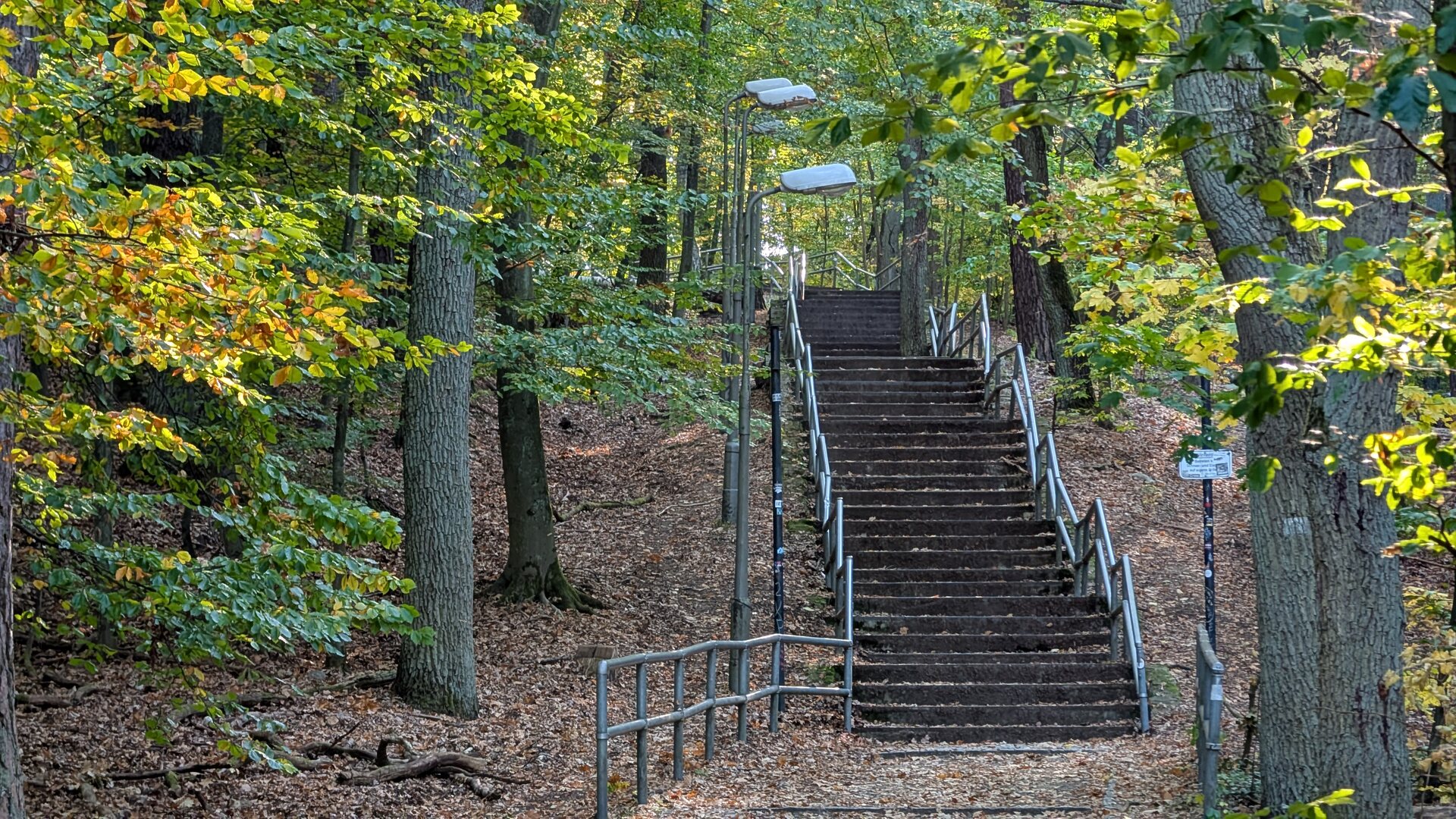 Lange Treppenanlage durch den herbstlichen Wald der Müggelberge