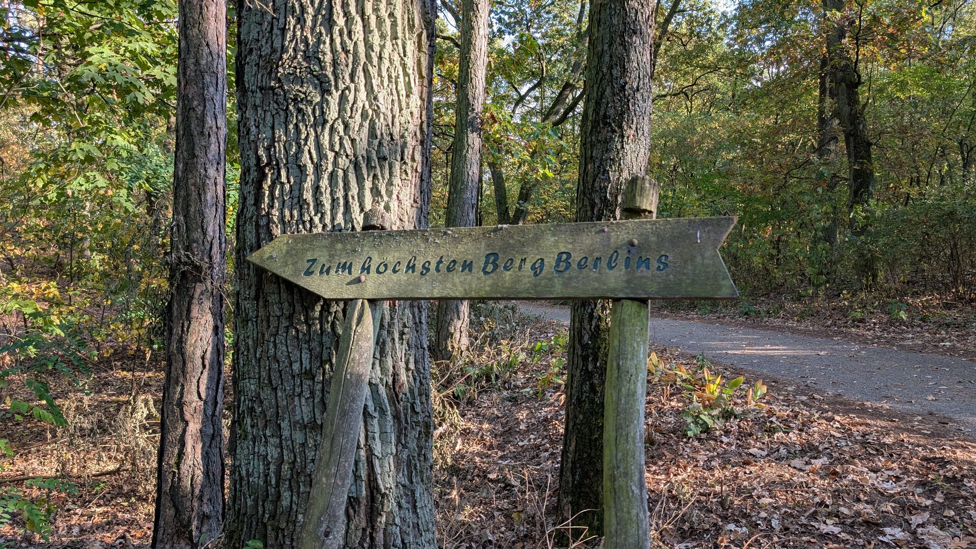 Nahaufnahme des Wegweisers zum höchsten natürlichen Berg Berlins