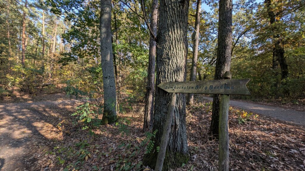 Holzwegweiser mit Aufschrift Zum höchsten Berg Berlins in den Müggelbergen